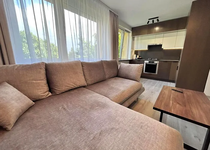 Daire Spacious&stylish Center 2 Bedroom Palanga